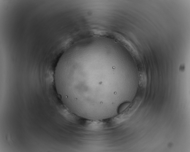 X0000102500621200808221755