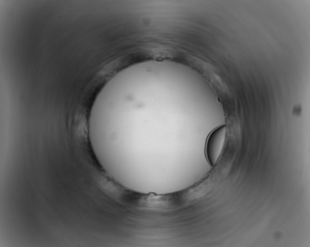 X0000102500622200808221755