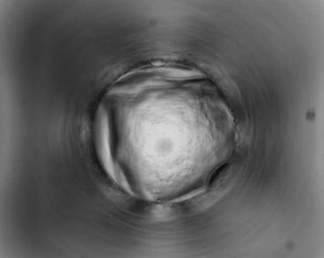 X0000102500623200808221755