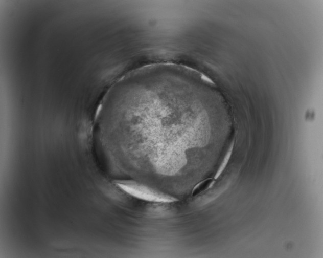 X0000102500624200808221755