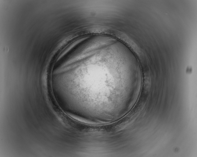 X0000102500626200808221755