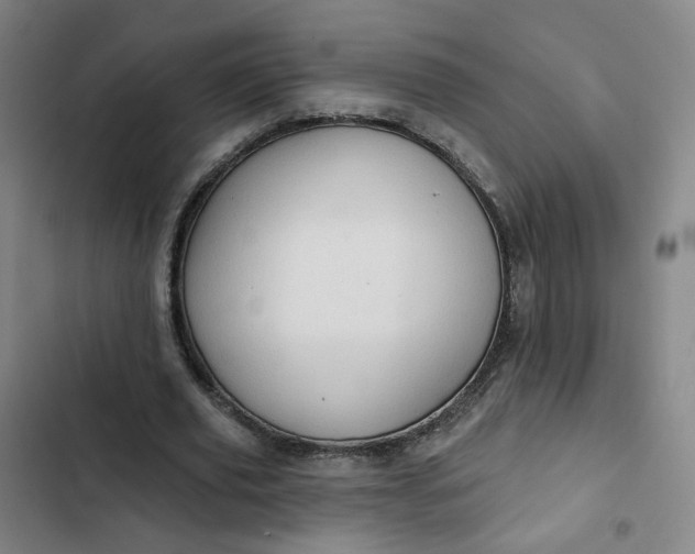 X0000102500629200808221755