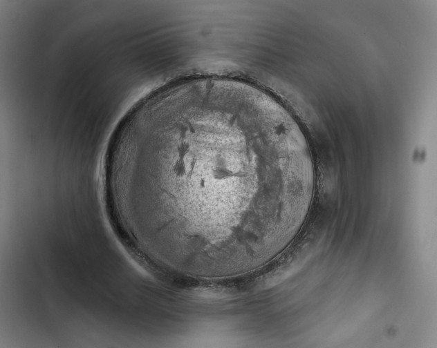 X0000102500630200808221755