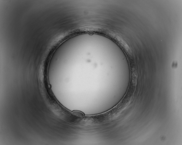 X0000102500631200808221755