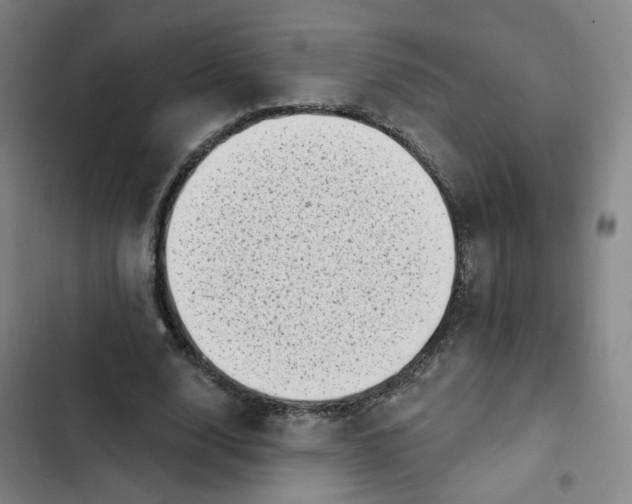 X0000102500632200808221755