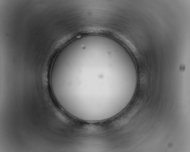 X0000102500633200808221755