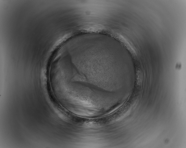 X0000102500634200808221755