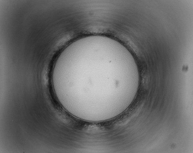 X0000102500635200808221755