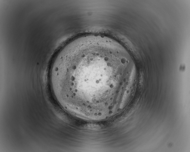 X0000102500636200808221755