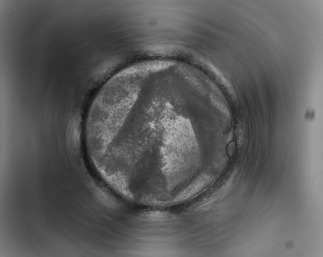 X0000102500637200808221755