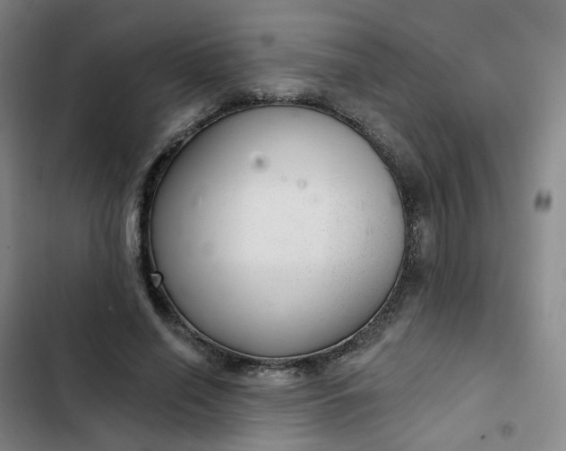 X0000102500638200808221755