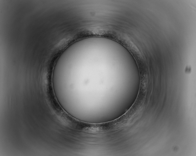 X0000102500639200808221755