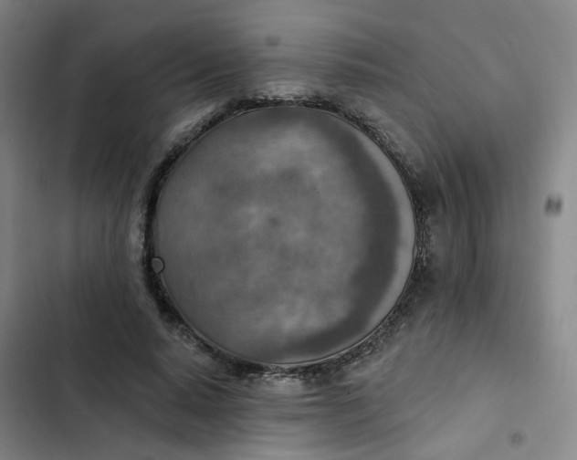 X0000102500640200808221755