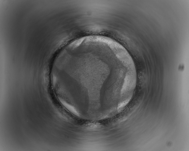 X0000102500642200808221755