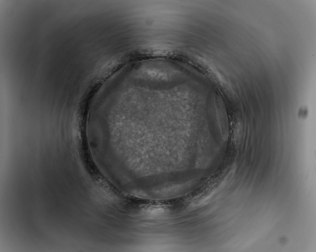 X0000102500643200808221755