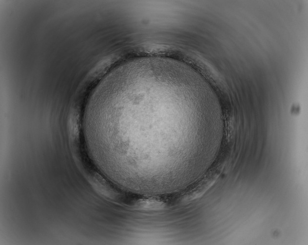 X0000102500644200808221755