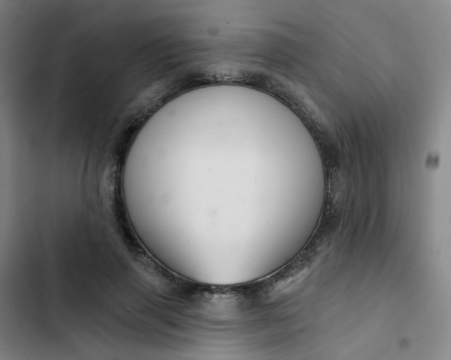 X0000102500645200808221755