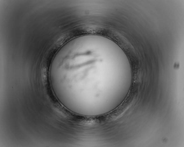 X0000102500646200808221755