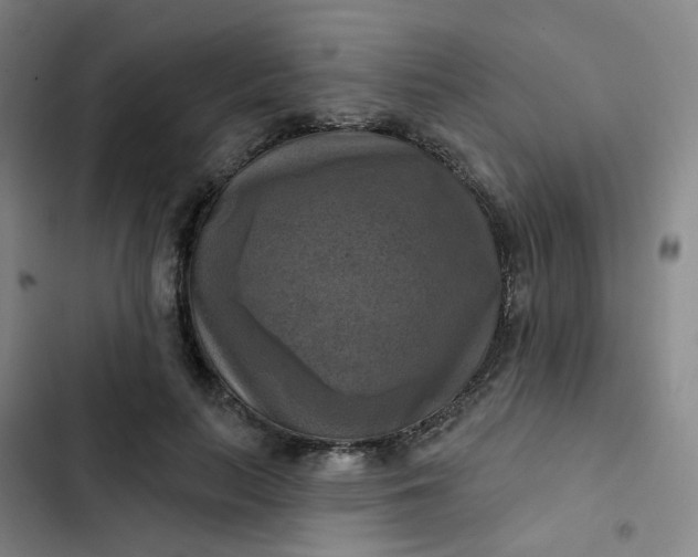 X0000102500647200808221755