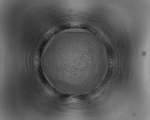 X0000102500648200808221755