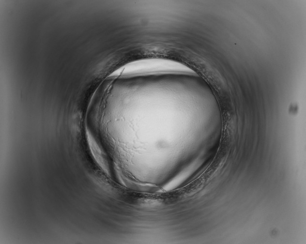 X0000102500649200808221755