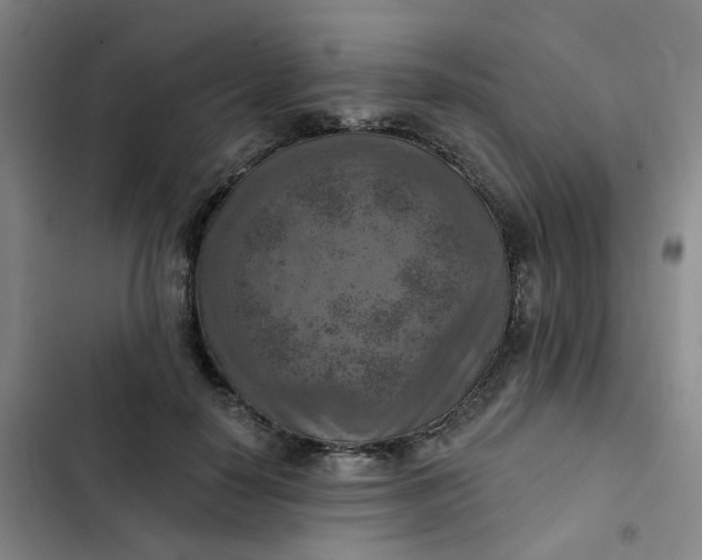 X0000102500650200808221755