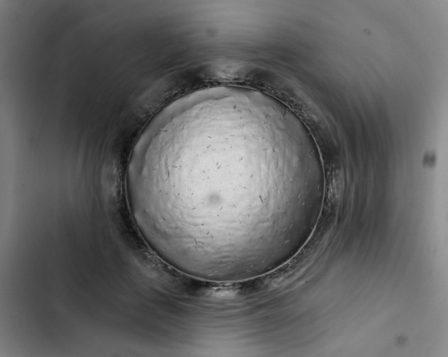 X0000102500651200808221755