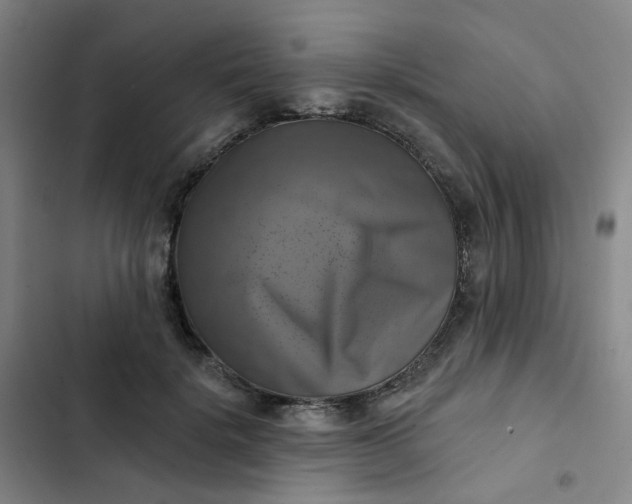 X0000102500652200808221755