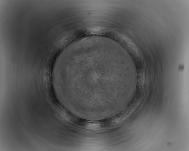 X0000102500653200808221755