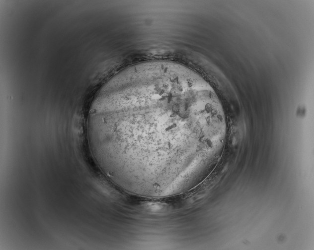 X0000102500654200808221755