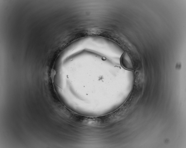 X0000102500655200808221755