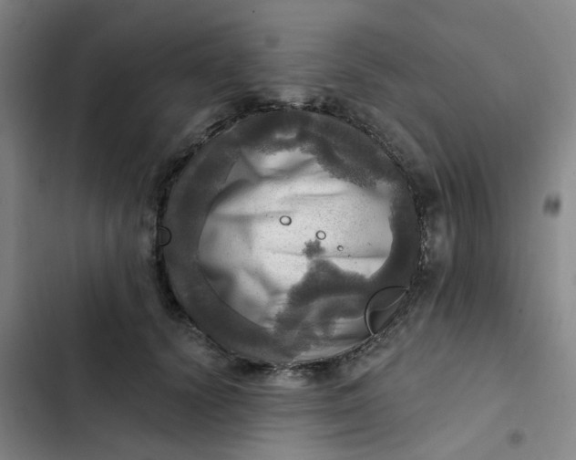 X0000102500656200808221755