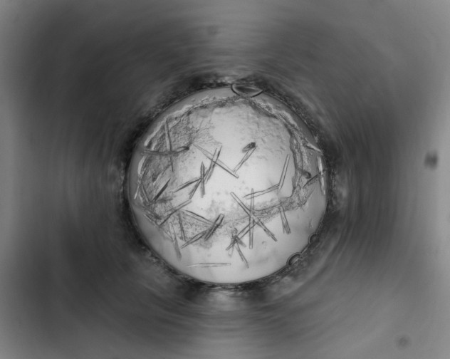 X0000102500657200808221755