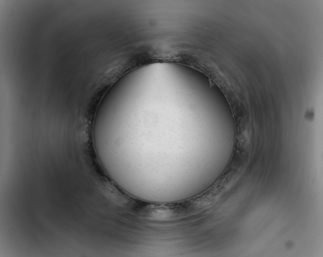 X0000102500658200808221755