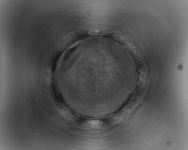 X0000102500659200808221755