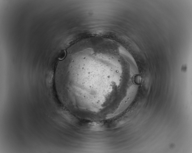 X0000102500660200808221755