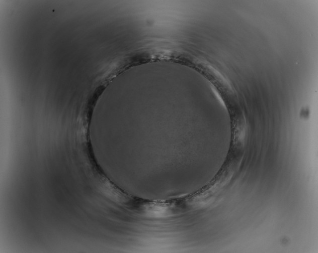 X0000102500661200808221755