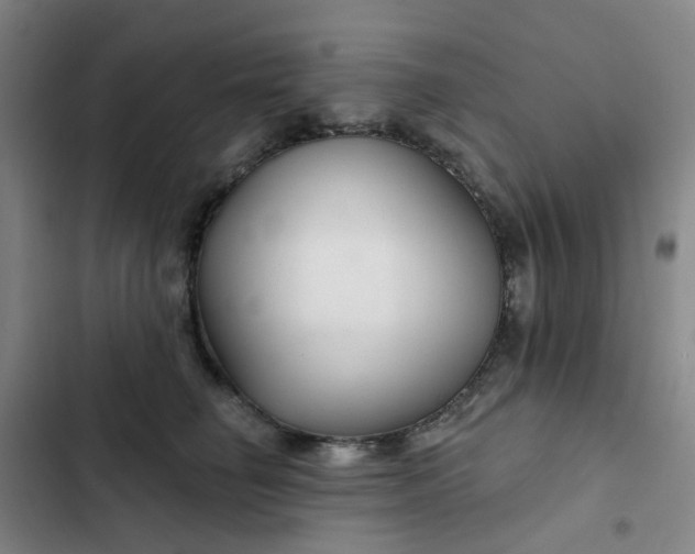 X0000102500662200808221755