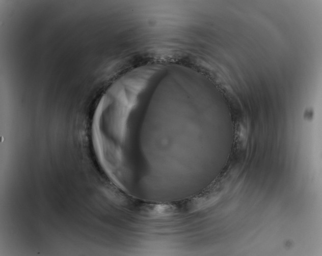 X0000102500663200808221755