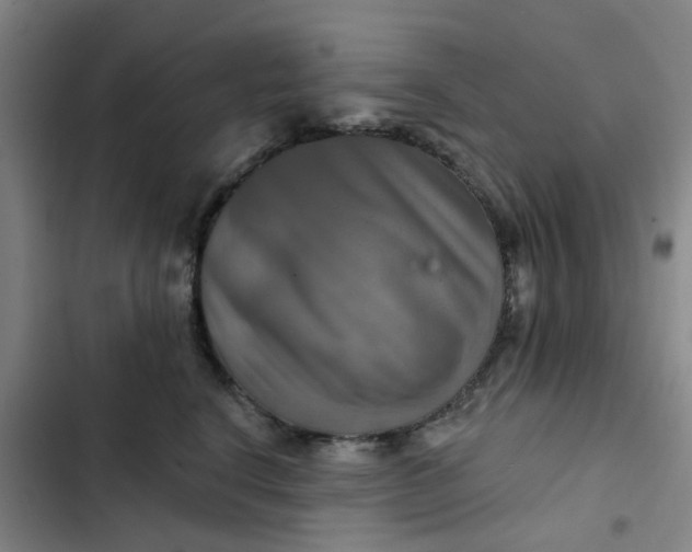 X0000102500664200808221755