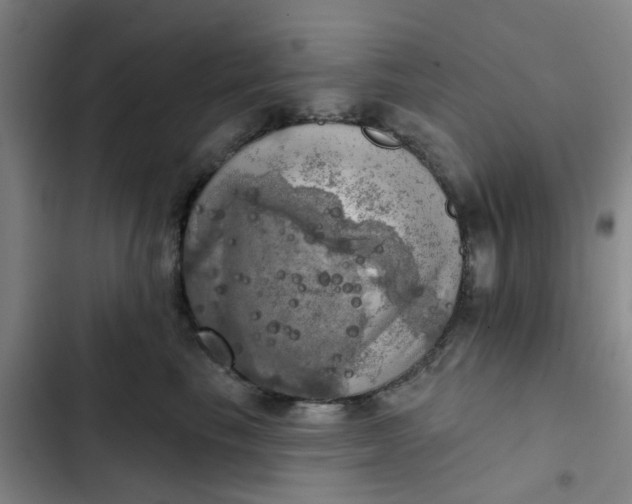 X0000102500665200808221755