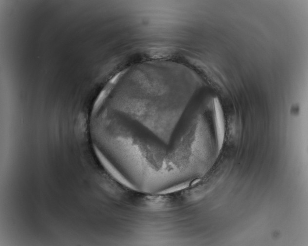 X0000102500667200808221755