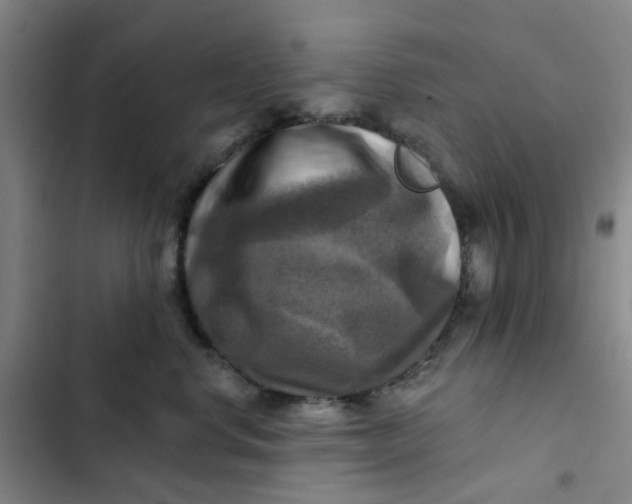 X0000102500668200808221755