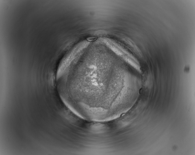 X0000102500669200808221755