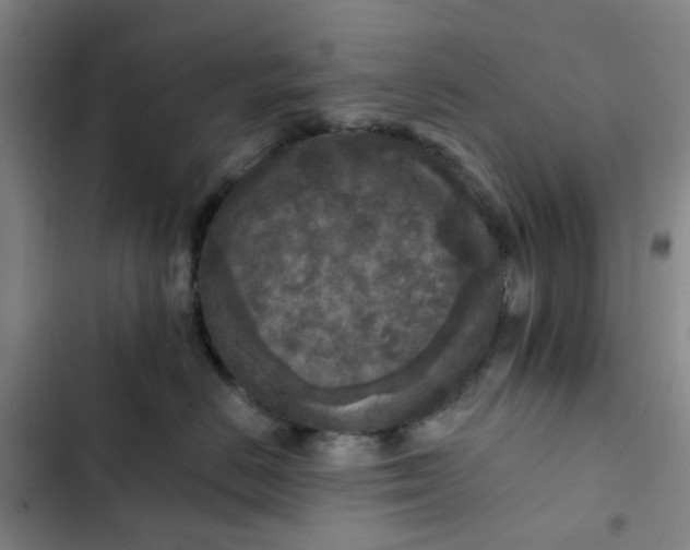 X0000102500670200808221755