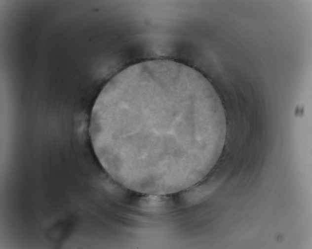 X0000102500672200808221755