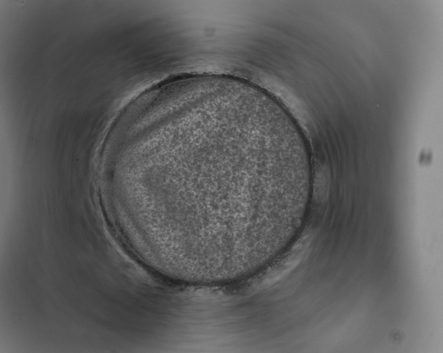 X0000102500673200808221755