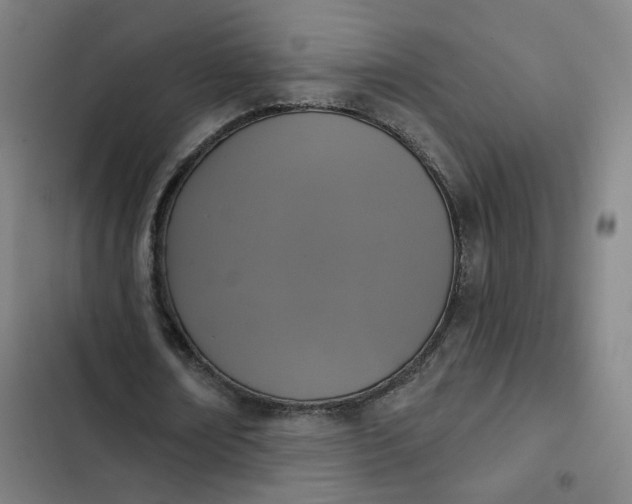 X0000102500674200808221755