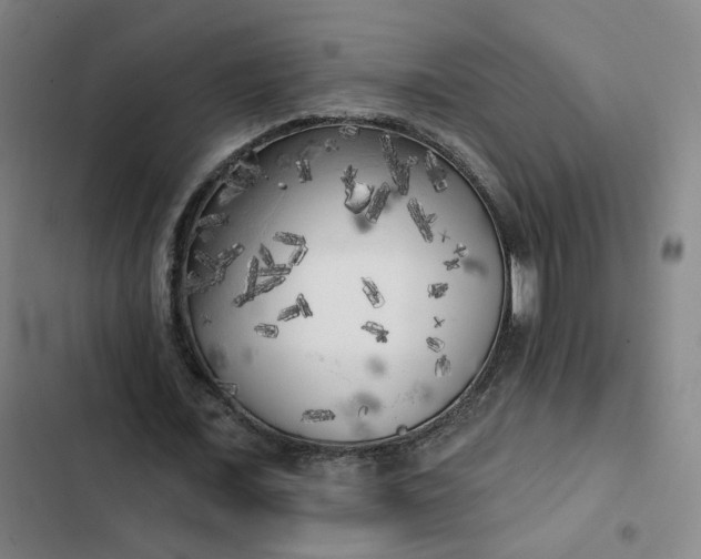 X0000102500675200808221755