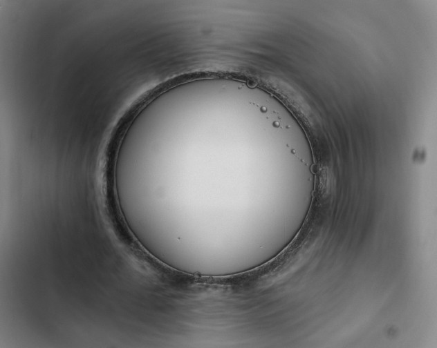 X0000102500676200808221755